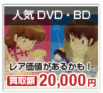 人気DVD・BD